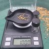 GoldiBox One Gram of Gold