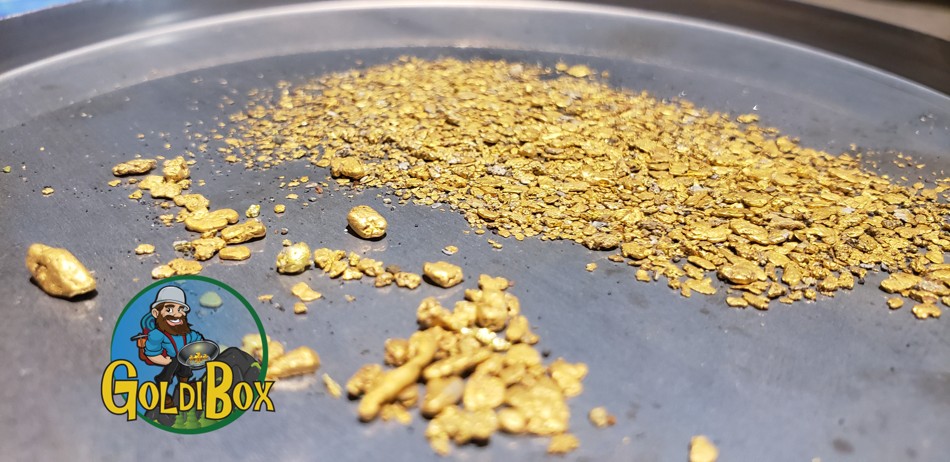 Chunky gold recovered with a GoldiBox